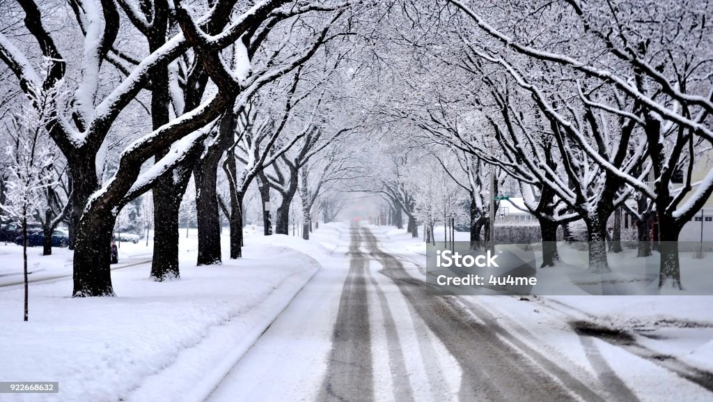 Residential street covered with fresh snow during a blizzard. Empty street and rows of trees forming tunnel in winter scenery. Snow Stock Photo