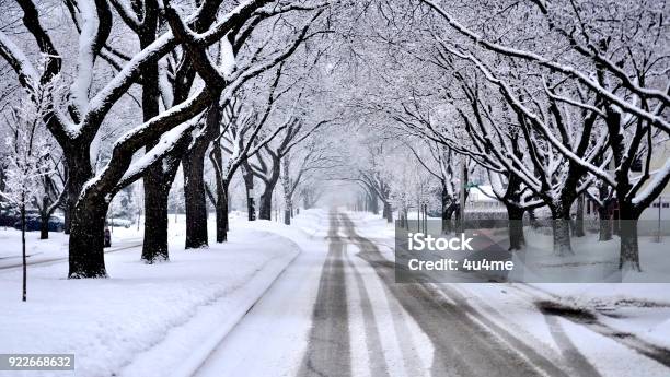 Residential Street Covered With Fresh Snow During A Blizzard Stock Photo - Download Image Now