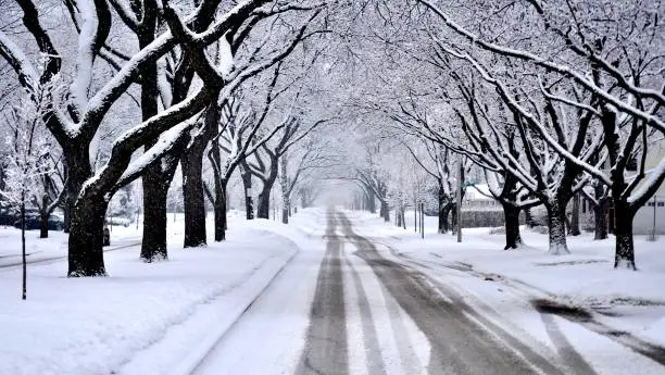 Photo of Residential street covered with fresh snow during a blizzard.