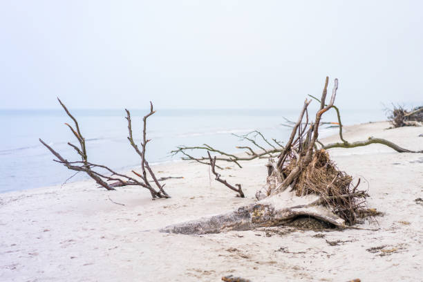Ruegen chalk coast near Sassnitz