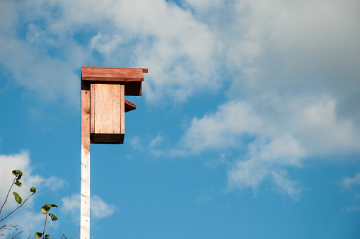 homemade birdhouse on a long pole against the blue spring sky