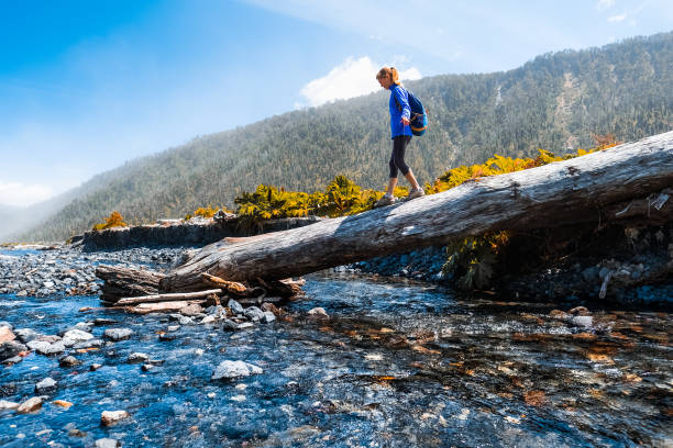 Woman hiker crossing the shallow and clear river Woman hiker crossing the shallow and clear river in mountains using a big tree trunk chile tourist stock pictures, royalty-free photos & images