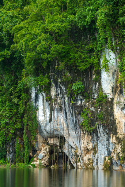 istock Thailand tropical forest landscape view 922671150
