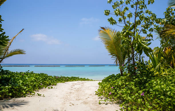 istock Blue lagoon and tropical island in Maldives 922672412