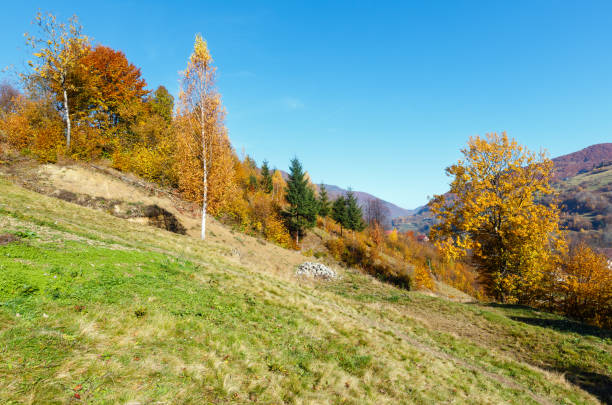 istock Autumn Carpathian mountains, Ukraine 922677060