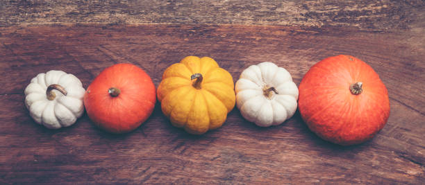 istock colorful pumpkin on wooden background 922677200