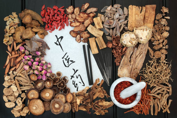 akupunktur-therapie und chinesischen kräutern - acupuncture chinese medicine medicine chinese script stock-fotos und bilder