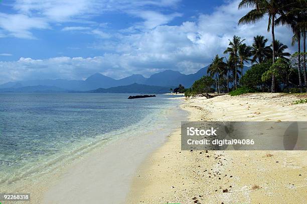 Photo libre de droit de Plage Tropicale banque d'images et plus d'images libres de droit de Arbre - Arbre, Botanique, Culture hawaïenne