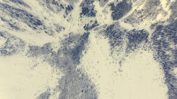 istock Drop down view of snow covered forest. 922685506