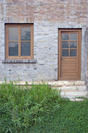 Brick wall with climbing plant