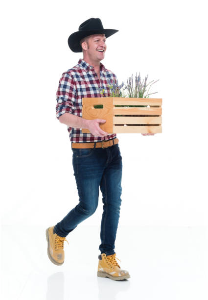 istock Gardner holding a wood crate with plants and walking 922685932