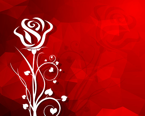 Rose on Red Background.