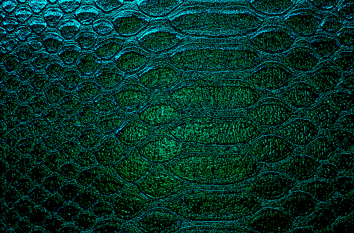 Snake skin, can use as background