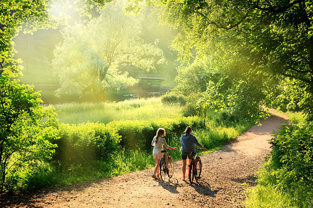 여행 - country road forest road footpath 뉴스 사진 이미지