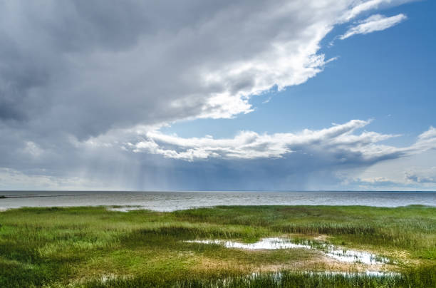 istock Marshy shore as sunlight shines through the clouds in summer 922690970