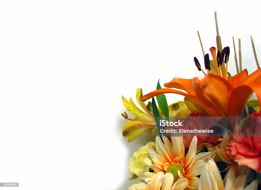 Bouquet on white background  Backgrounds Stock Photo