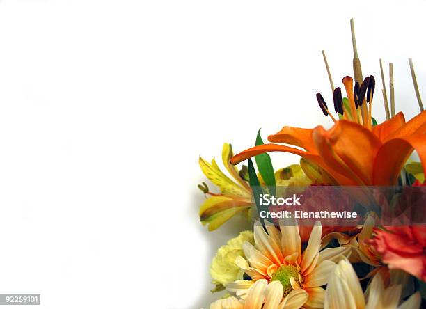 Bouquet On White Background Stock Photo - Download Image Now - Backgrounds, Bouquet, Celebration