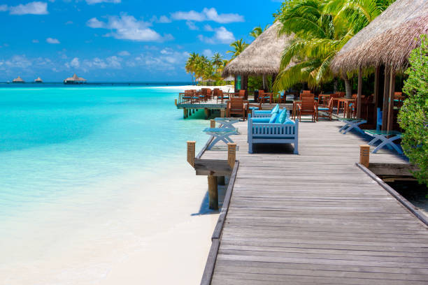 istock Chill lounge zone on the sandy beach 922691364