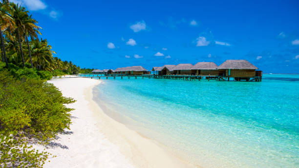 istock Beautiful sandy beach and over water tropical bungalo 922691366