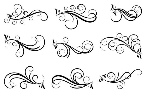 illustrazioni stock, clip art, cartoni animati e icone di tendenza di elementi di progettazione calligrafica. illustrazione vettoriale vorticosa. - flourishes tattoo scroll ornate
