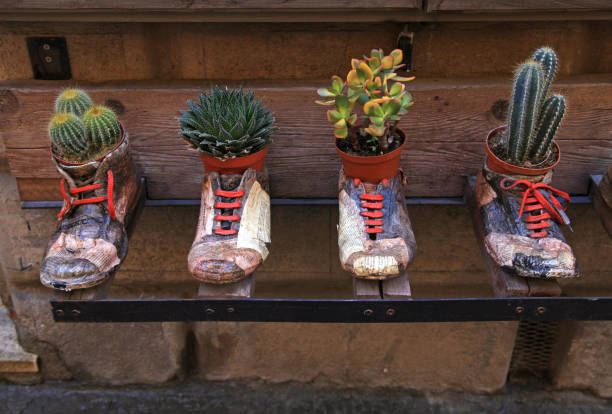 istock decorative flower pots in old vintage shoes 922695770
