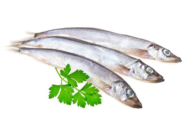 istock Capelin fish and parsley isolated on white background 922697358