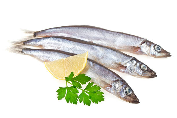istock Capelin fish, lemon and parsley isolated on white background 922697402