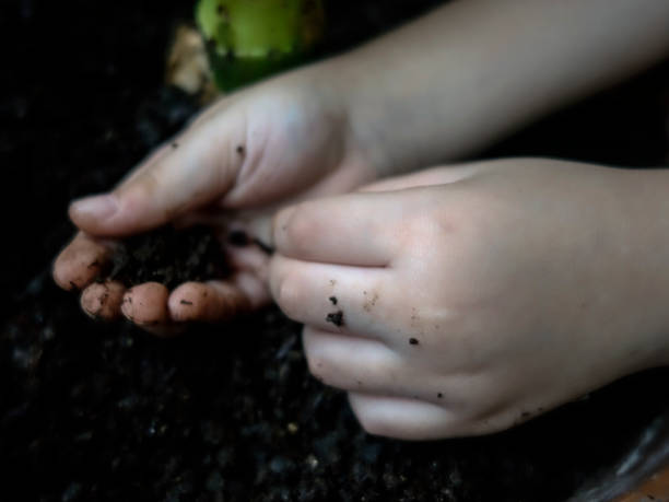 istock Soul in hands and earth 922697986