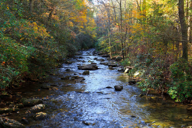 istock Shinny Creek at South Mountains State Park 922699536