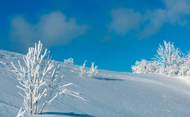 istock Winter mountain snowy landscape 922699592