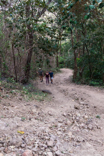 istock Hiking in Costa Rica 922699968