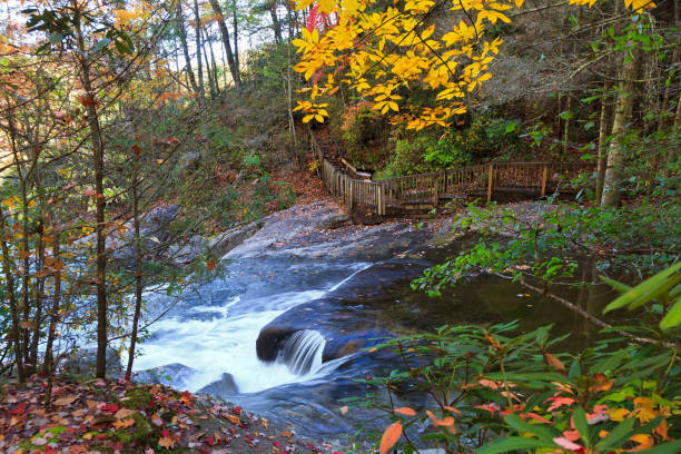 istock South Mountains State Park in North Carolina 922699990