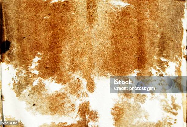 Cowhide Stock Photo - Download Image Now - Cowhide, Rug, Abstract