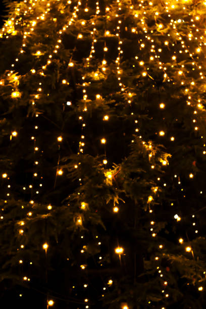 istock Bokeh Lights on Christmas Tree by Night 922702930