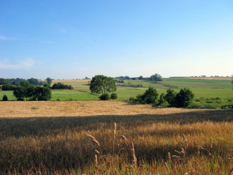 The fields and meadows of the Lamberhurst countryside
