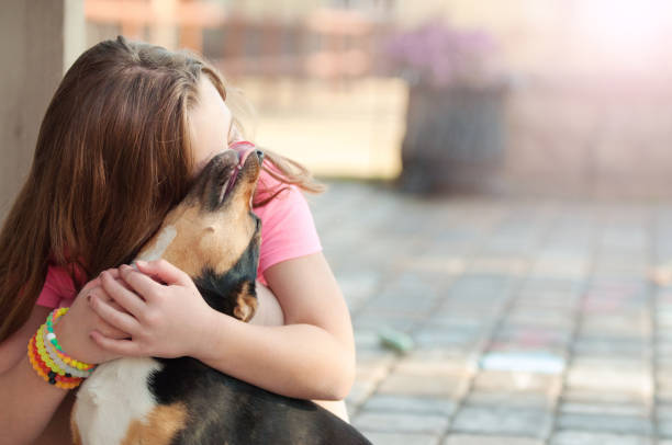 istock Young Girl Plays With Her Dog On A Summer Evening 922704662