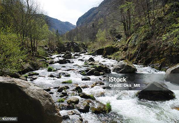 Foto de Paisagem De Montanha Com O Rio Primavera Nos Pirineus e mais fotos de stock de Arbusto