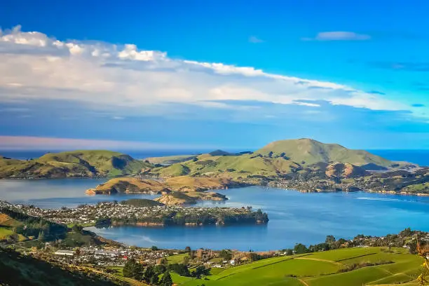 Photo of Dunedin town and bay as seen from the hills above