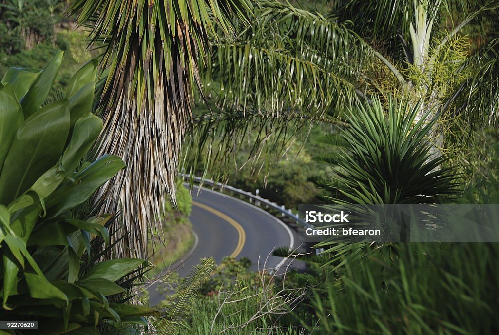 エキゾチックな roadtrip - マウイ島 ハナのロイヤリティフリーストックフォト