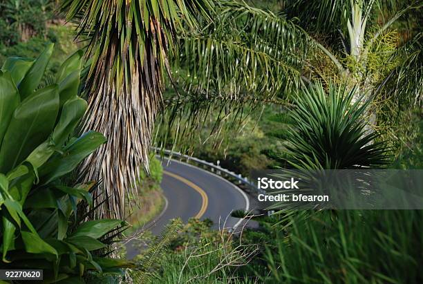 Exótico Viagem De Automóvel - Fotografias de stock e mais imagens de Conduzir - Conduzir, Estrada principal, Hana - Maui