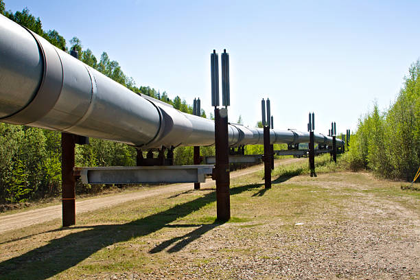 istock View of Trans-Alaskan Pipeline in between trees 92270887