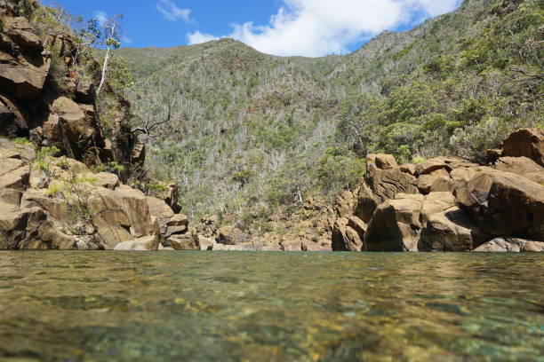 istock River Dumbea in New Caledonia 922711196