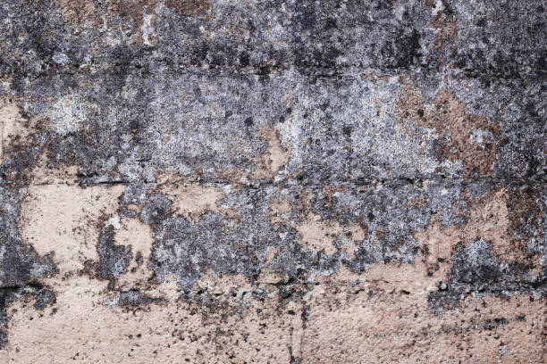 istock An old broken, moldy wall of a house 922712000
