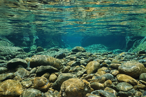 Rocas bajo el agua en el cauce del río con claro agua dulce photo