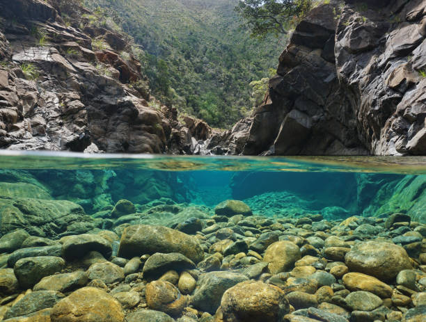 Rocks over and under the water in a river Rocks over and under the water split by waterline in a river with clear water, Dumbea river, New Caledonia new caledonia photos stock pictures, royalty-free photos & images