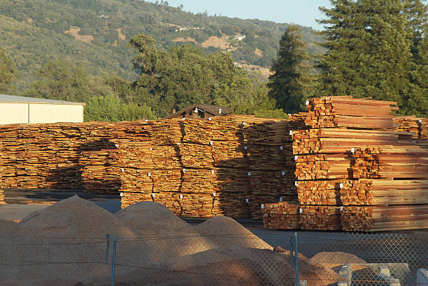 Piles of Lumber at Sawmill  sawmill gravy stock pictures, royalty-free photos & images