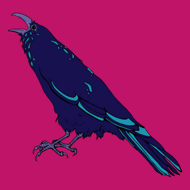 сердитая ворона - birdsong bird one animal flying stock illustrations