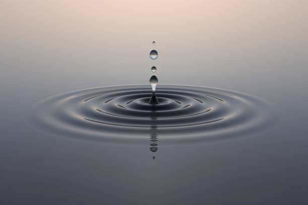 Water Droplet into still water with ripples in soft morning light