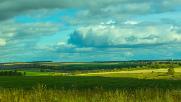 cloudy sky on the field in summer beautiful cloudy sky on the field in summer creación stock pictures, royalty-free photos & images