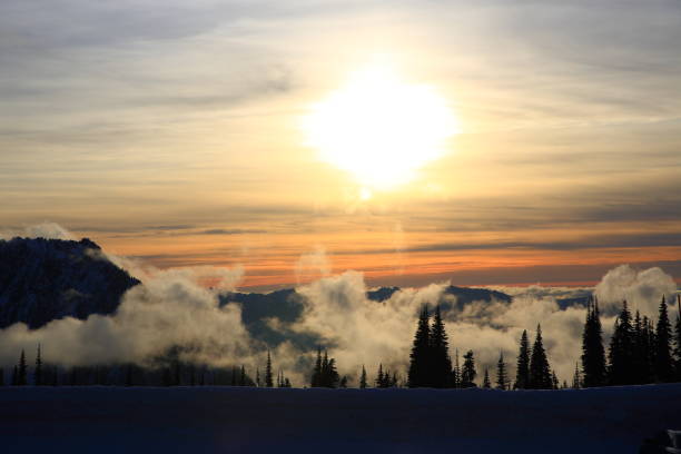istock Amazing sunset over mountains with trees covered by fog, WA 922716656